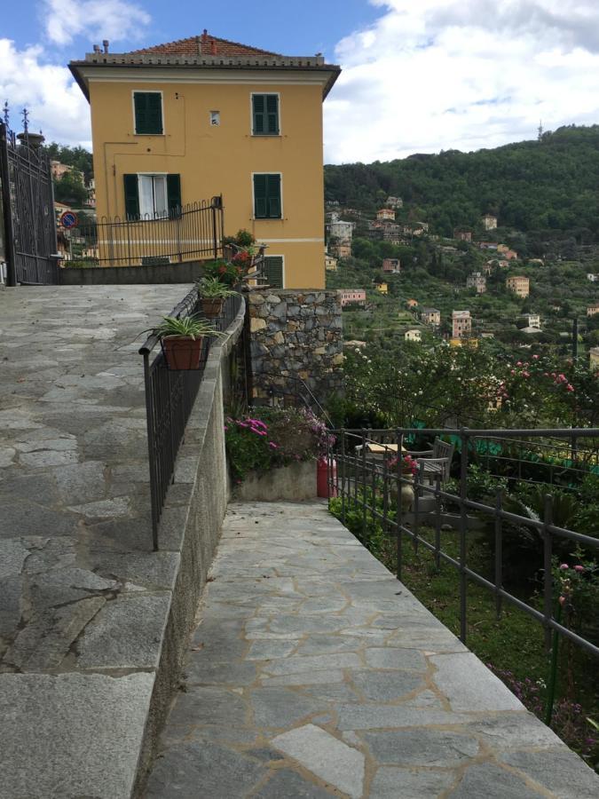 Orchidea Guest house Camogli