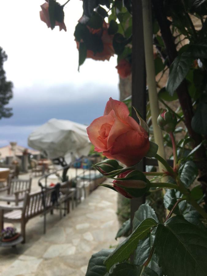 Orchidea Guest house Camogli