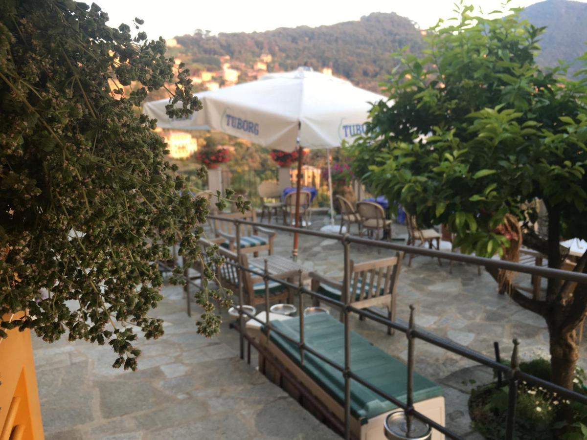 Orchidea Guest house