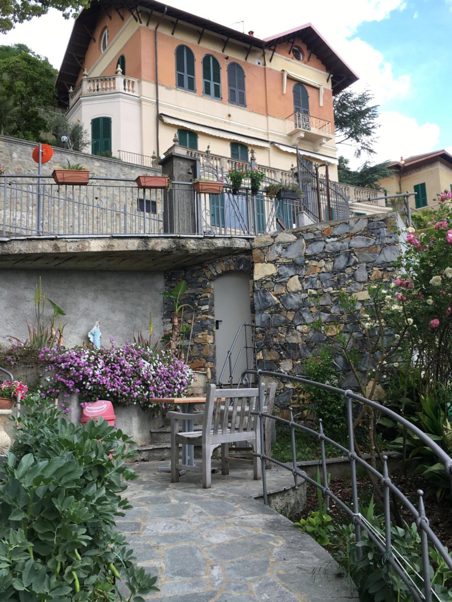 Orchidea Camogli