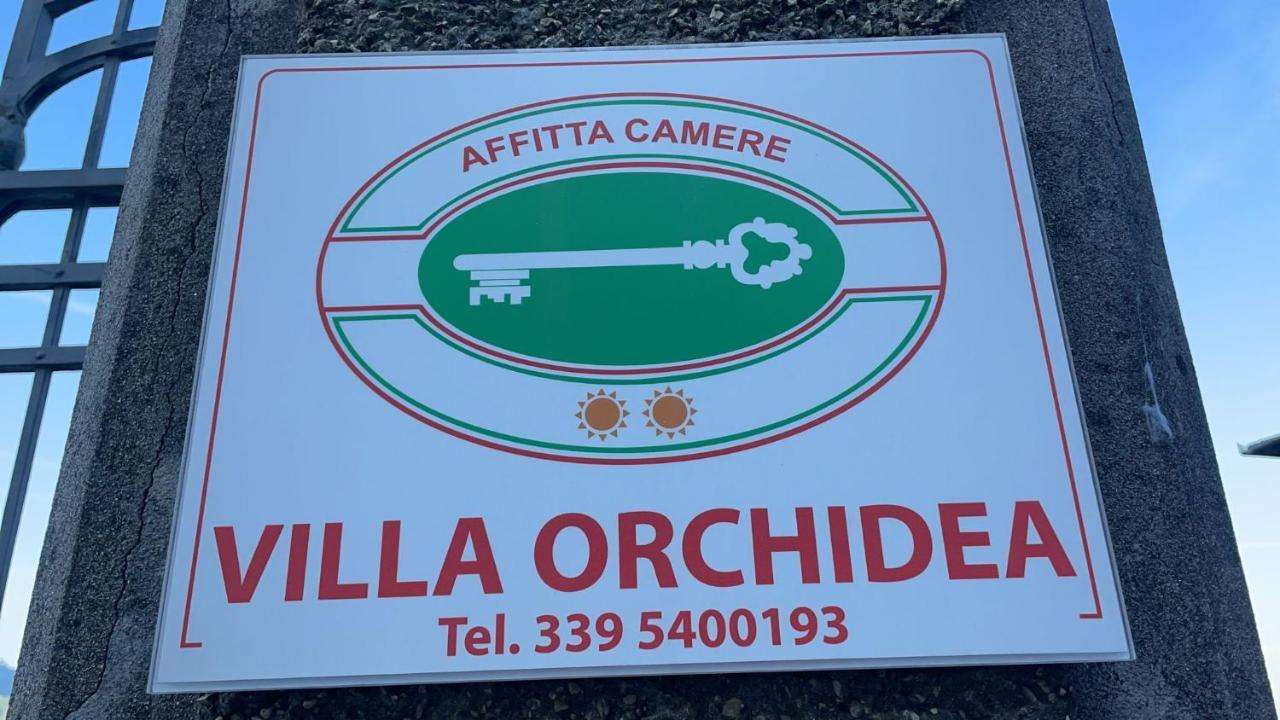Guest house Orchidea