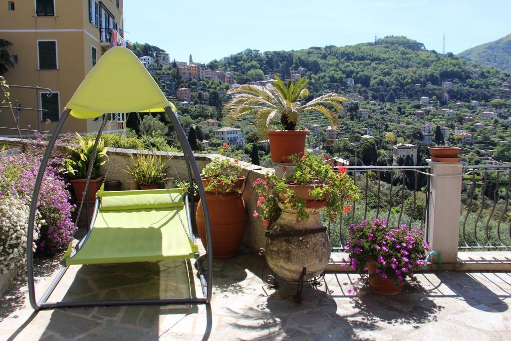 Guest house Orchidea