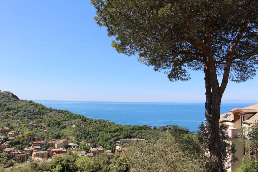 Guest house Orchidea Camogli