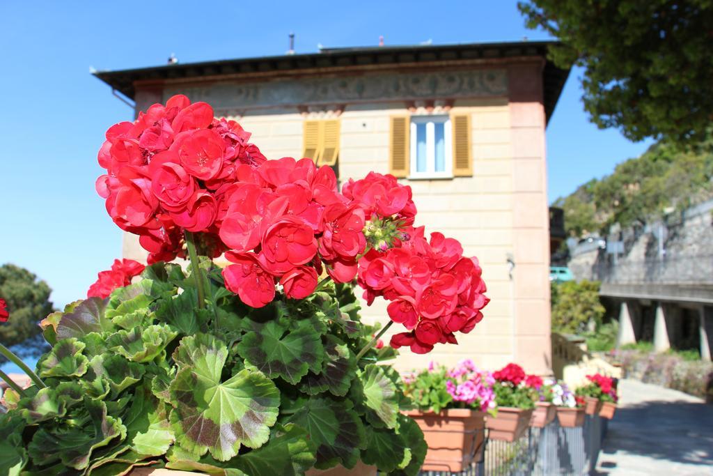 Guest house Orchidea *